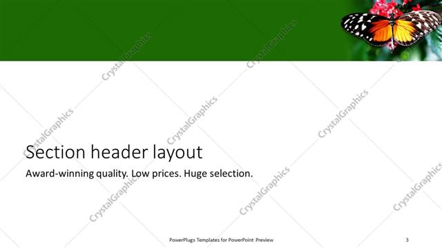 Section Header presentation slide layout