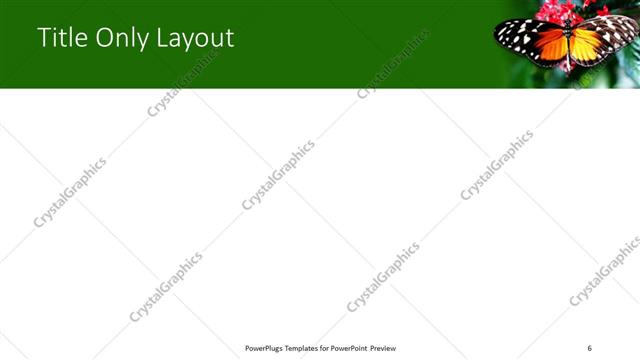 Title Only presentation slide layout