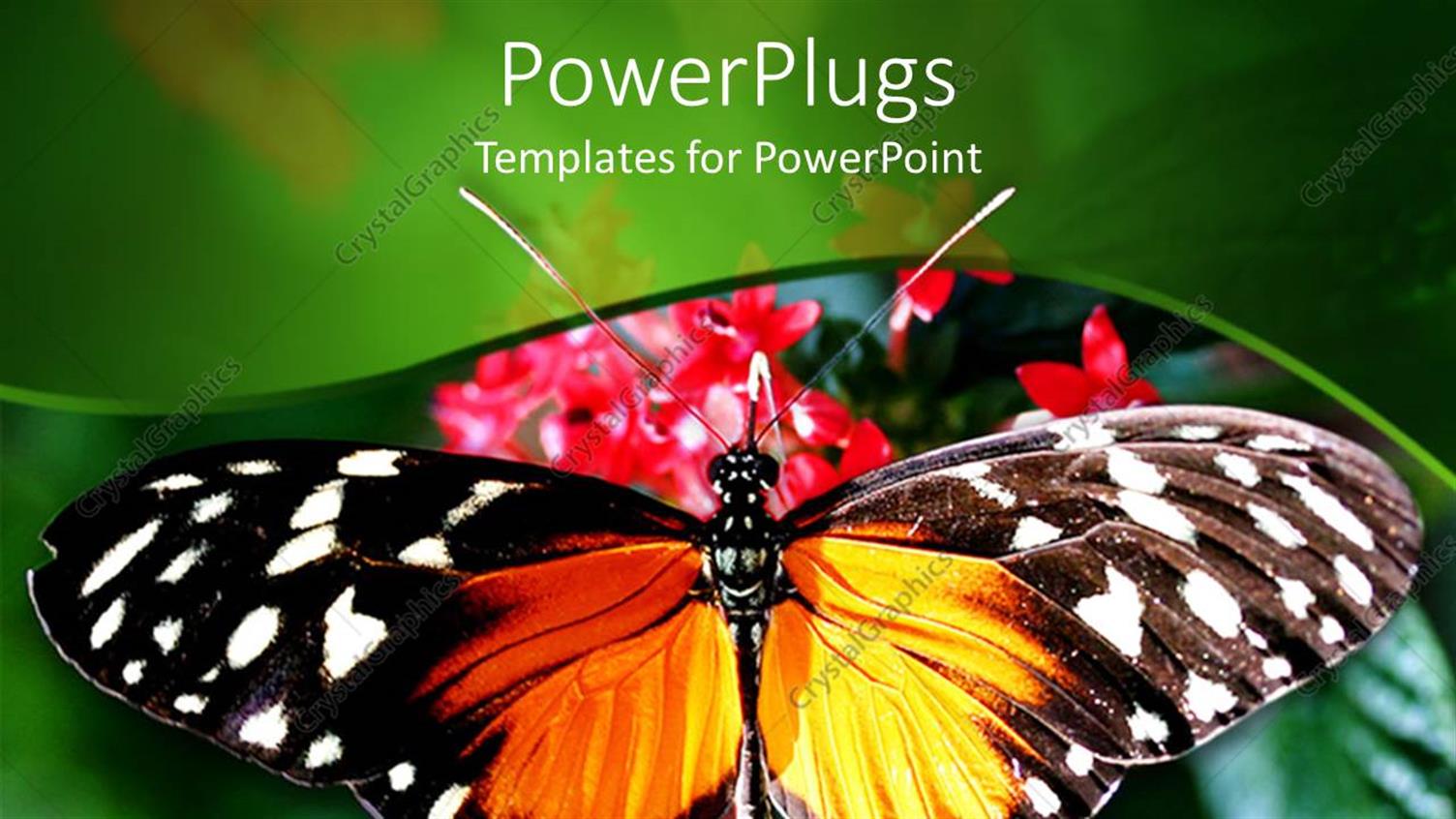 Premium Template for PowerPoint & Google Slides 