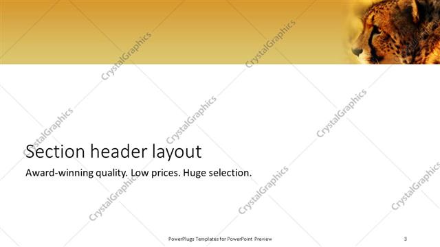 Section Header presentation slide layout