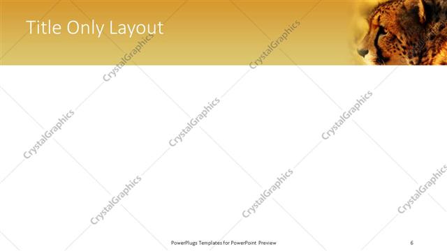 Title Only presentation slide layout