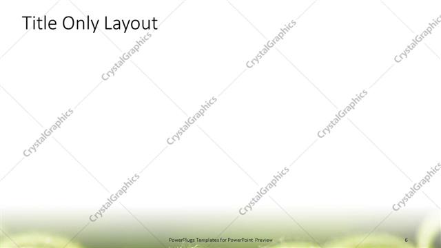 Title Only presentation slide layout