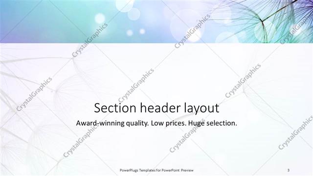 Section Header presentation slide layout