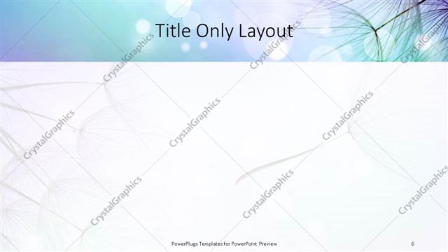 Title Only presentation slide layout