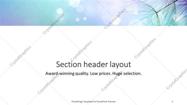 Section Header presentation slide layout