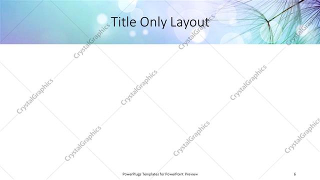 Title Only presentation slide layout
