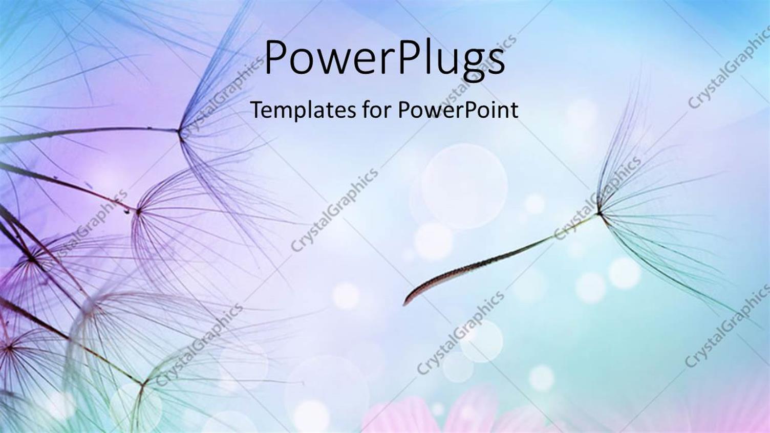 Premium Template for PowerPoint & Google Slides 