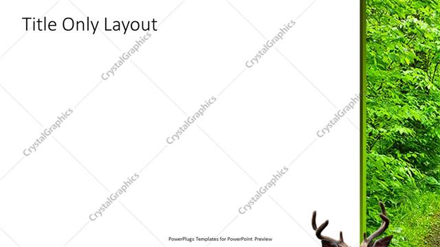 Title Only presentation slide layout