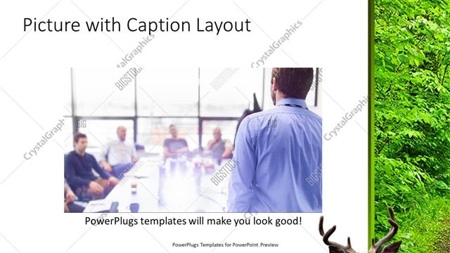 Picture with Caption presentation slide layout