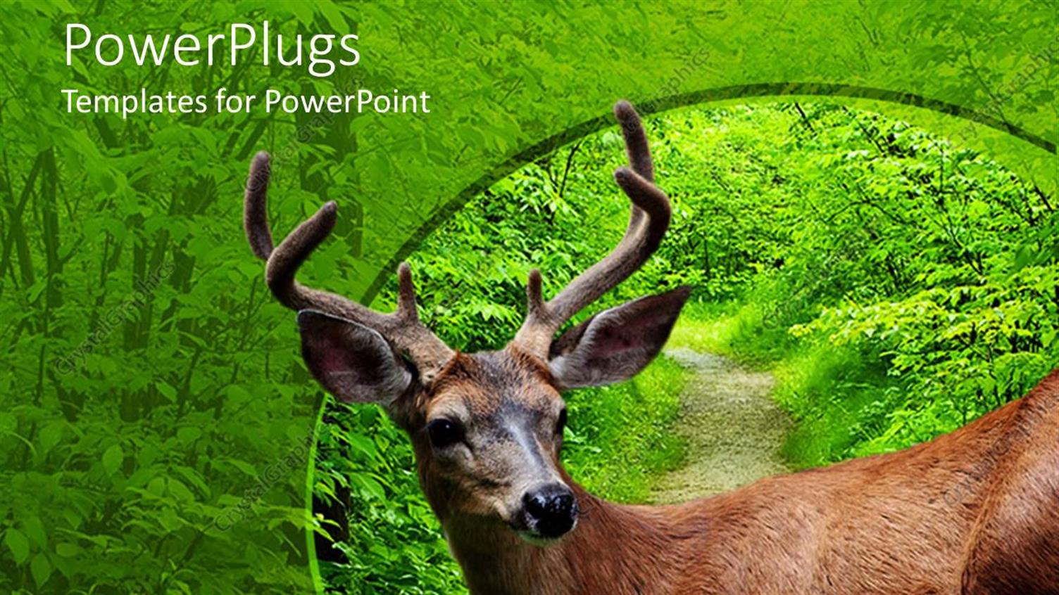 Premium Template for PowerPoint & Google Slides 