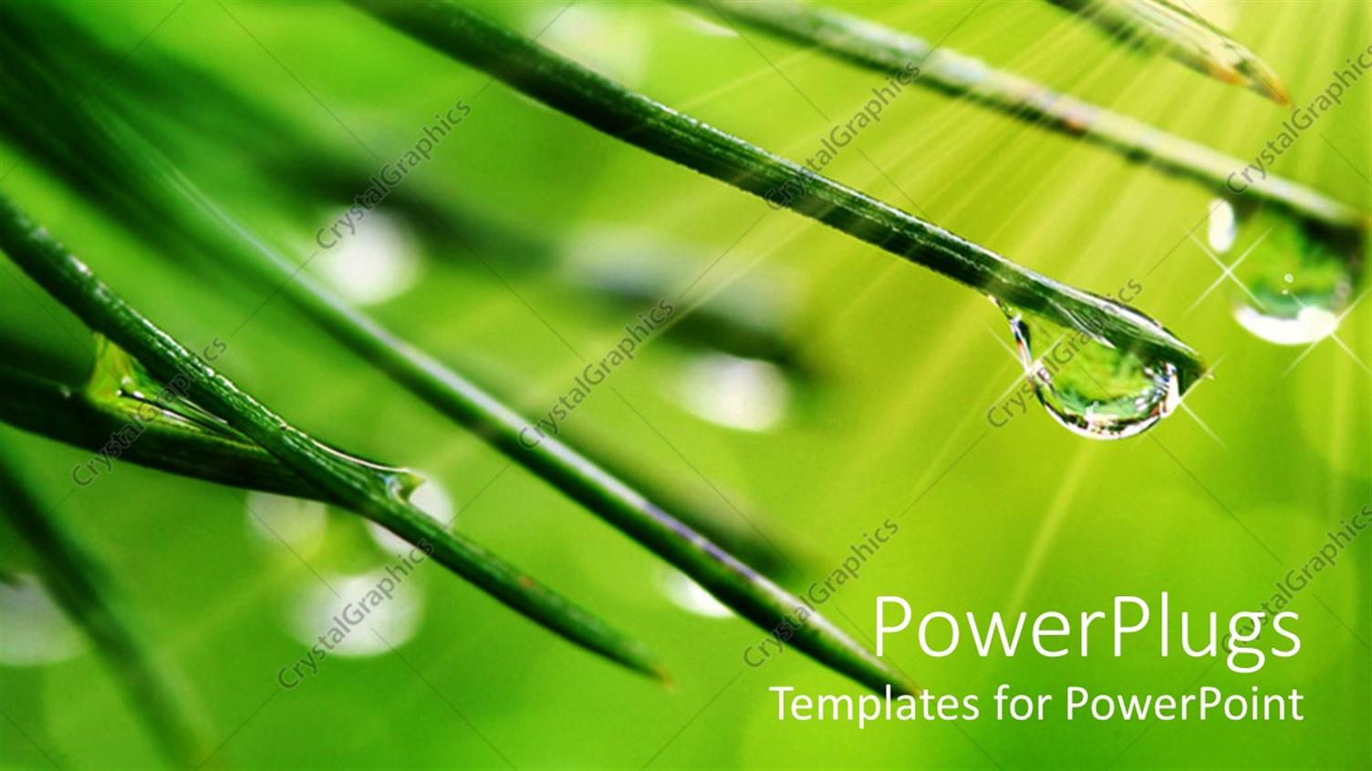 Premium Template for PowerPoint & Google Slides 