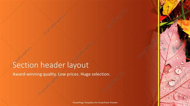 Section Header presentation slide layout