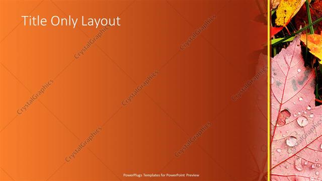 Title Only presentation slide layout