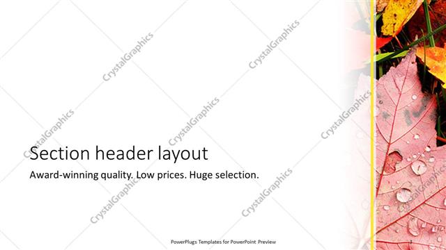 Section Header presentation slide layout