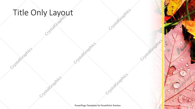 Title Only presentation slide layout