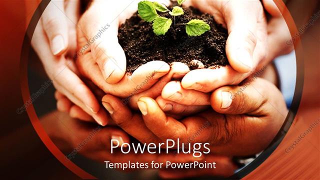  Presentation with seedling - Close up of five hands holding handful of soil with small green seedling