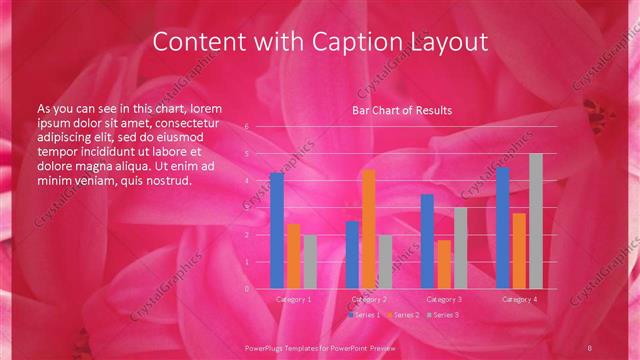 Content with Caption presentation slide layout
