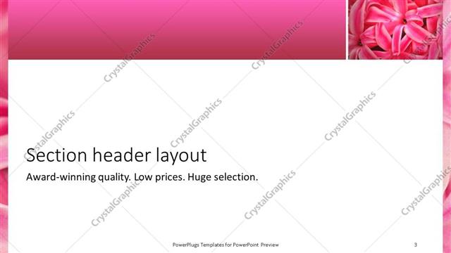 Section Header presentation slide layout