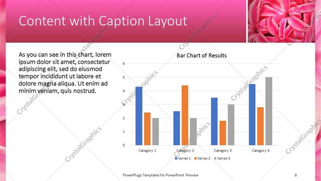 Content with Caption presentation slide layout