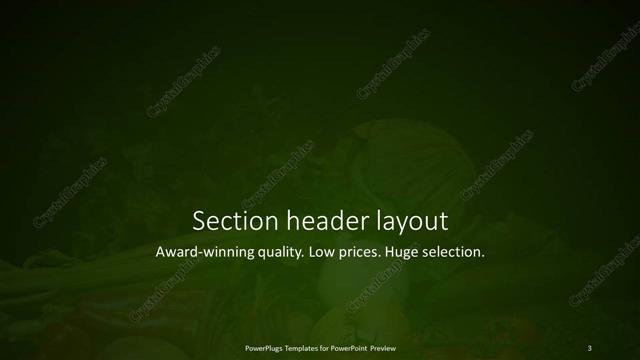 Section Header presentation slide layout