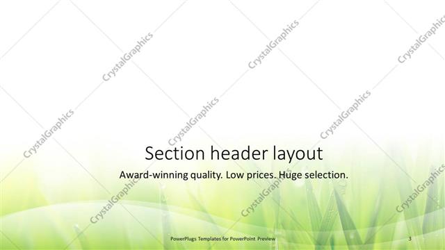 Section Header presentation slide layout