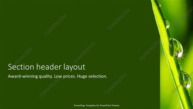 Section Header presentation slide layout