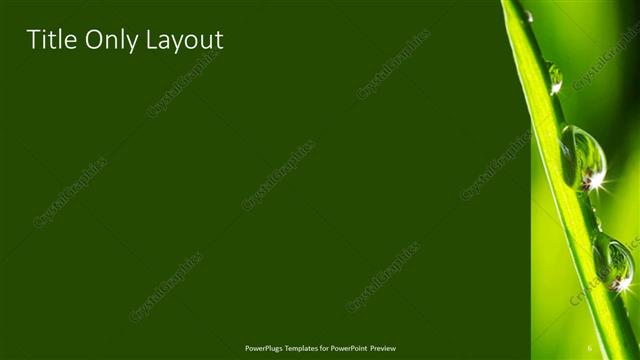 Title Only presentation slide layout