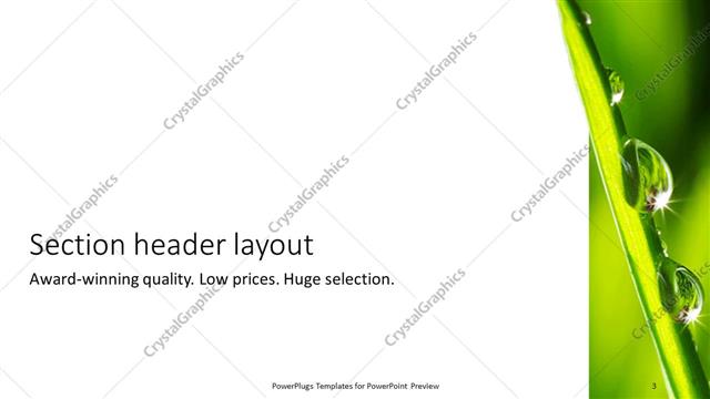 Section Header presentation slide layout