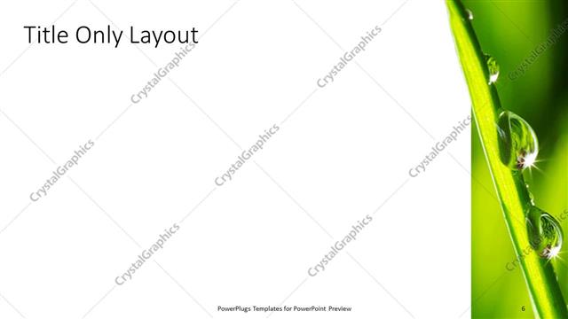 Title Only presentation slide layout