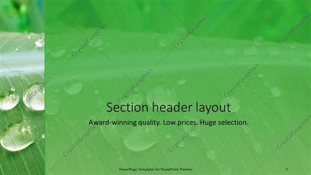 Section Header presentation slide layout