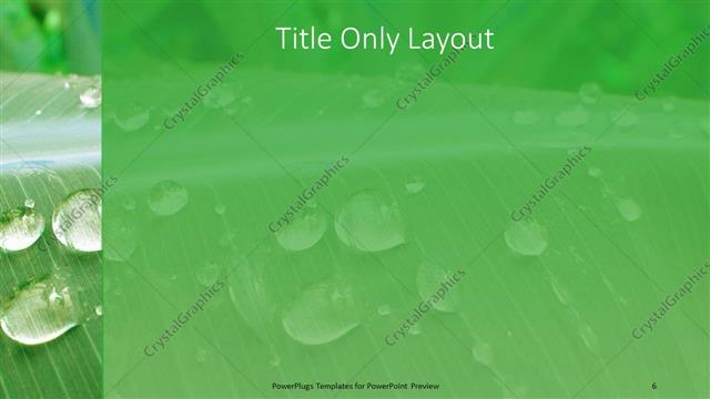 Title Only presentation slide layout