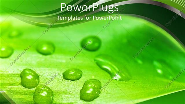  Presentation with water droplets - Close up of green leaf with water droplets