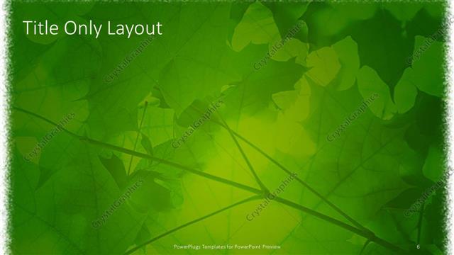 Title Only presentation slide layout