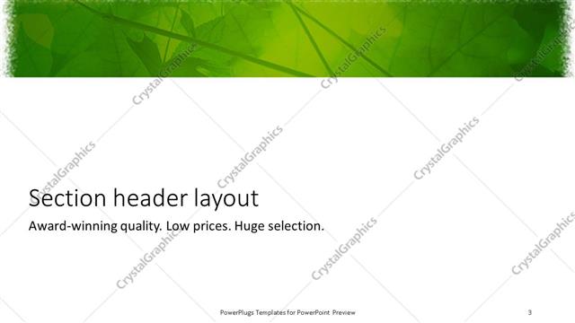 Section Header presentation slide layout