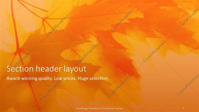 Section Header presentation slide layout