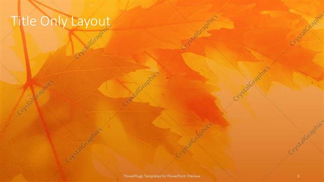 Title Only presentation slide layout