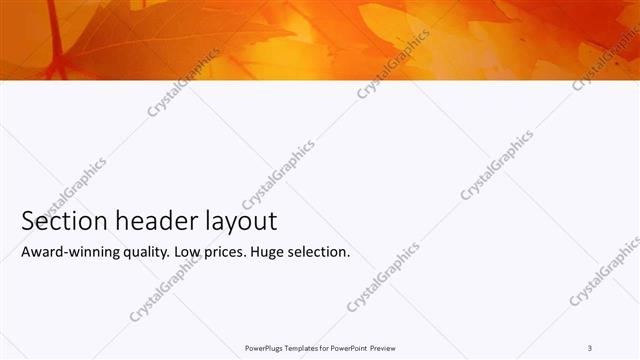Section Header presentation slide layout