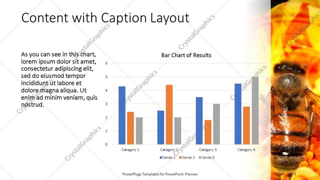 Content with Caption presentation slide layout