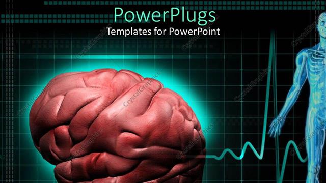  Presentation with brain - Close up of human brain, half of human body anatomy and cardiogram in the background