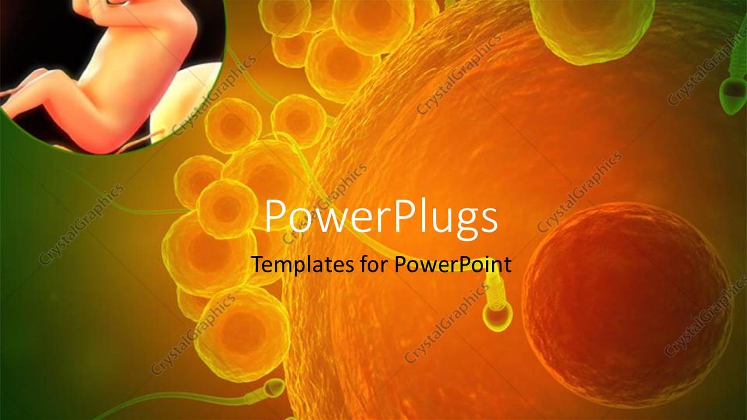 Premium Template for PowerPoint & Google Slides 