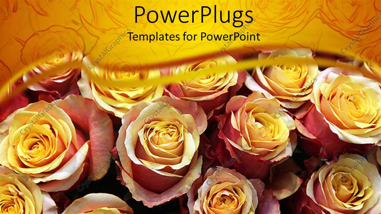 Premium Template for PowerPoint & Google Slides 