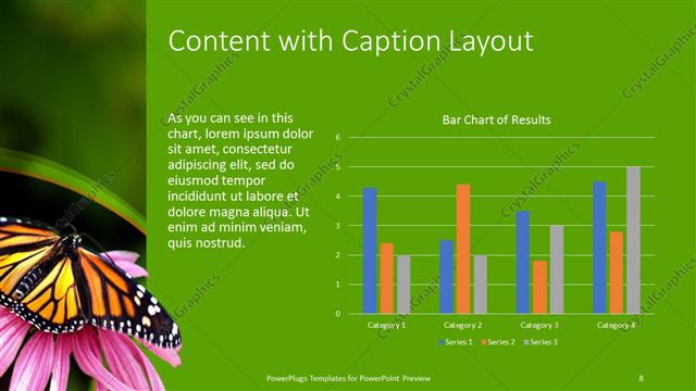 Content with Caption presentation slide layout