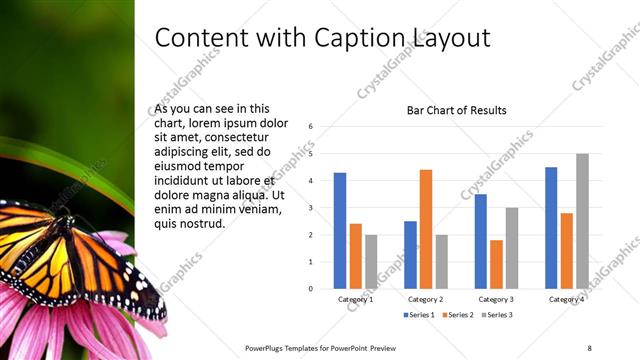 Content with Caption presentation slide layout