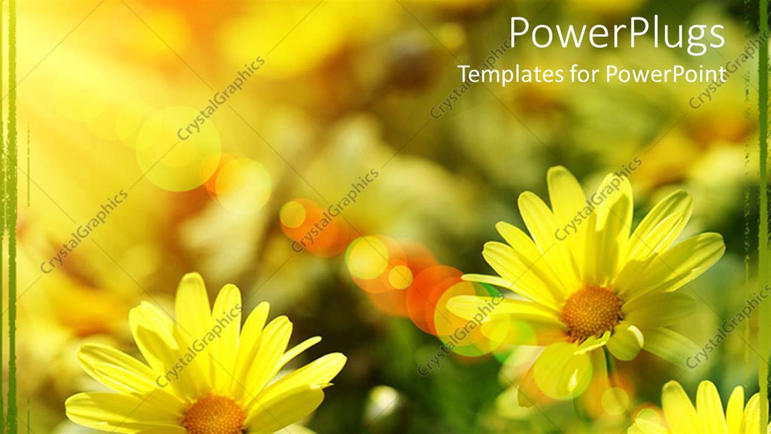 Premium Template for PowerPoint & Google Slides 