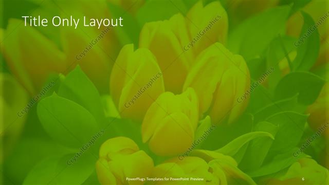 Title Only presentation slide layout