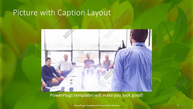 Picture with Caption presentation slide layout