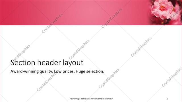 Section Header presentation slide layout