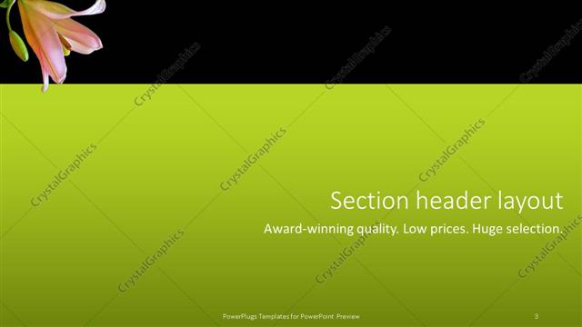 Section Header presentation slide layout