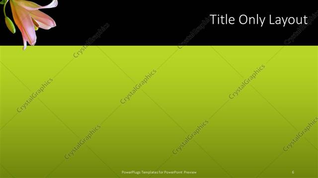 Title Only presentation slide layout