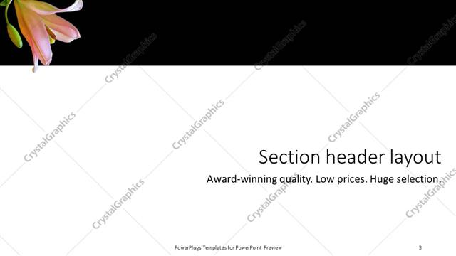 Section Header presentation slide layout